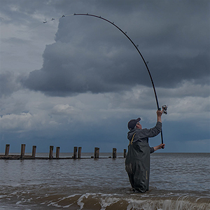 Cannes à Pêche Mer