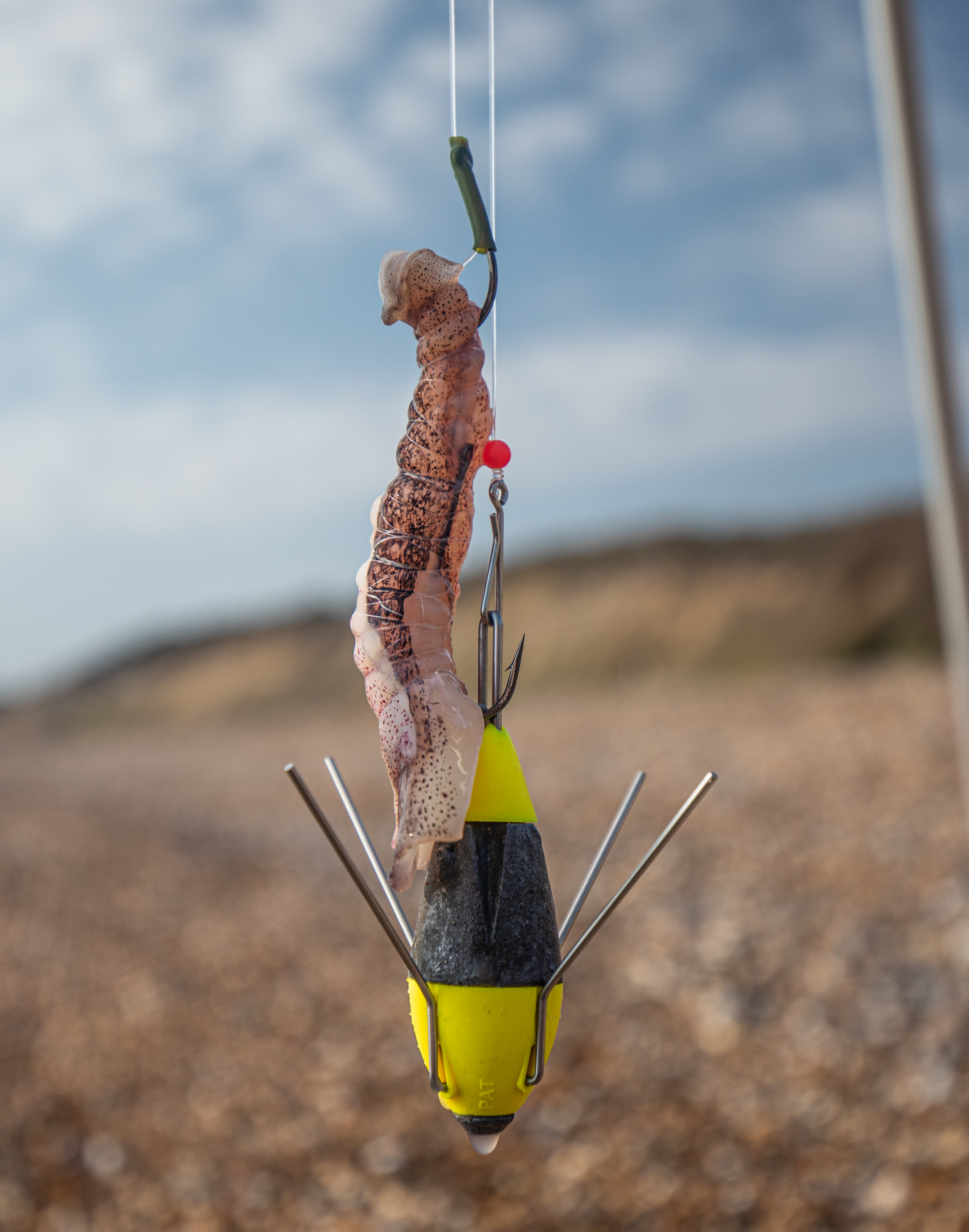 Guide d’Appât de Pêche en Mer & de Plage, Appât Frais ou Artificiel ?