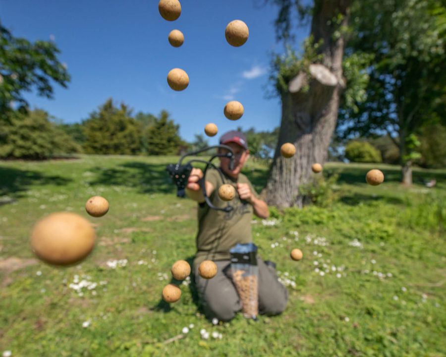 Quel appât pour la pêche - Guide ultime des différents types d'appâts