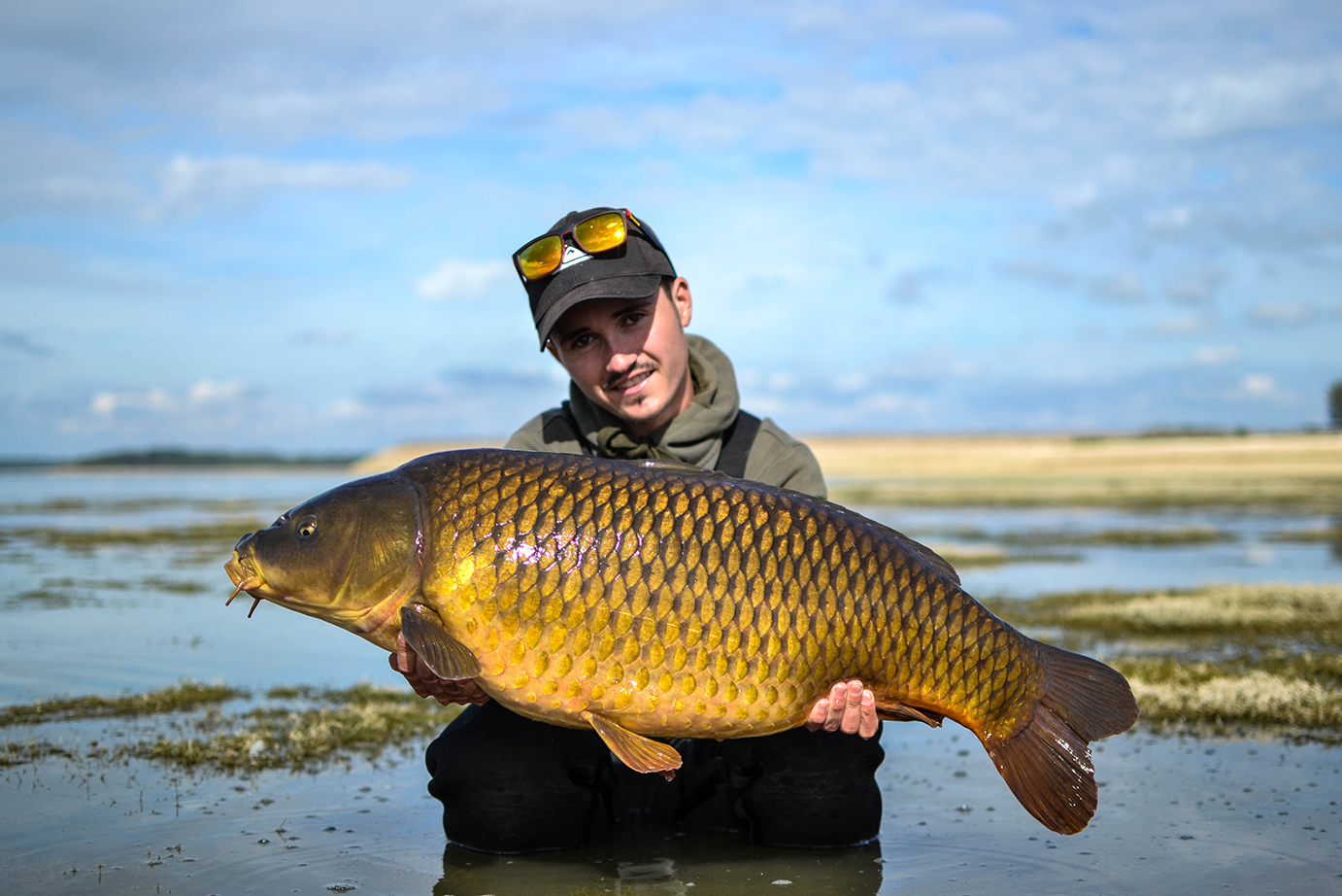 A la conquête d'une géante