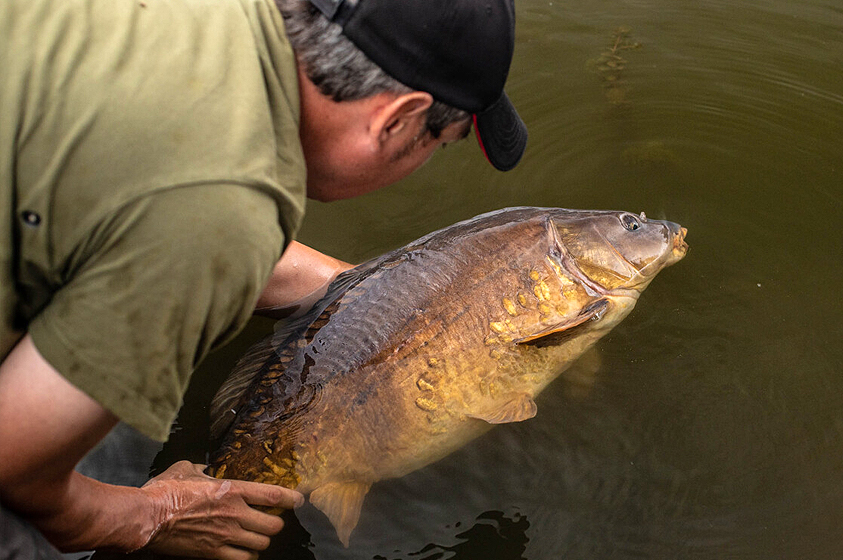 8 façons d'améliorer votre pêche au zig !