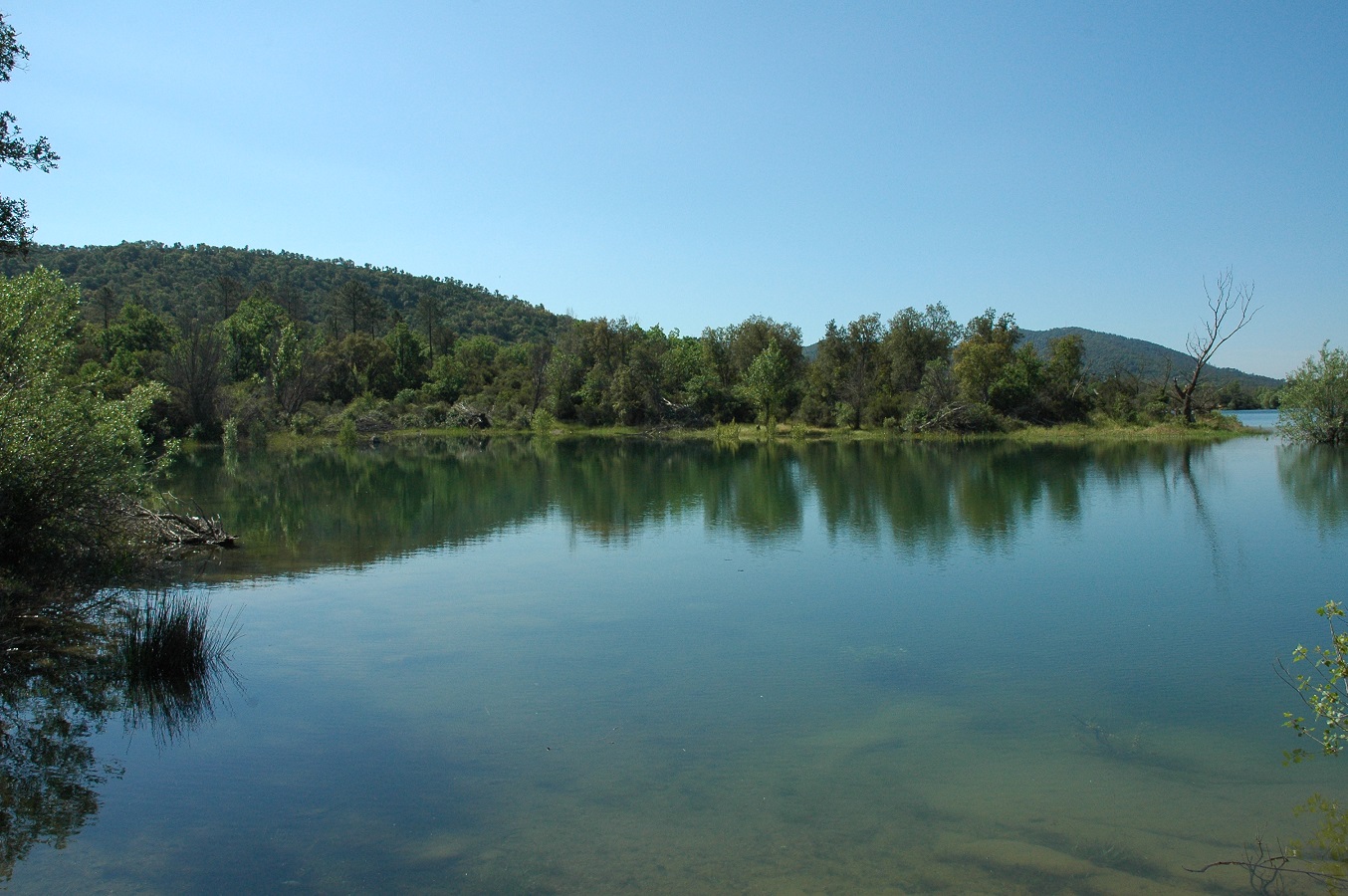 Saison Printanières, Quand les Eaux se Rechauffent 