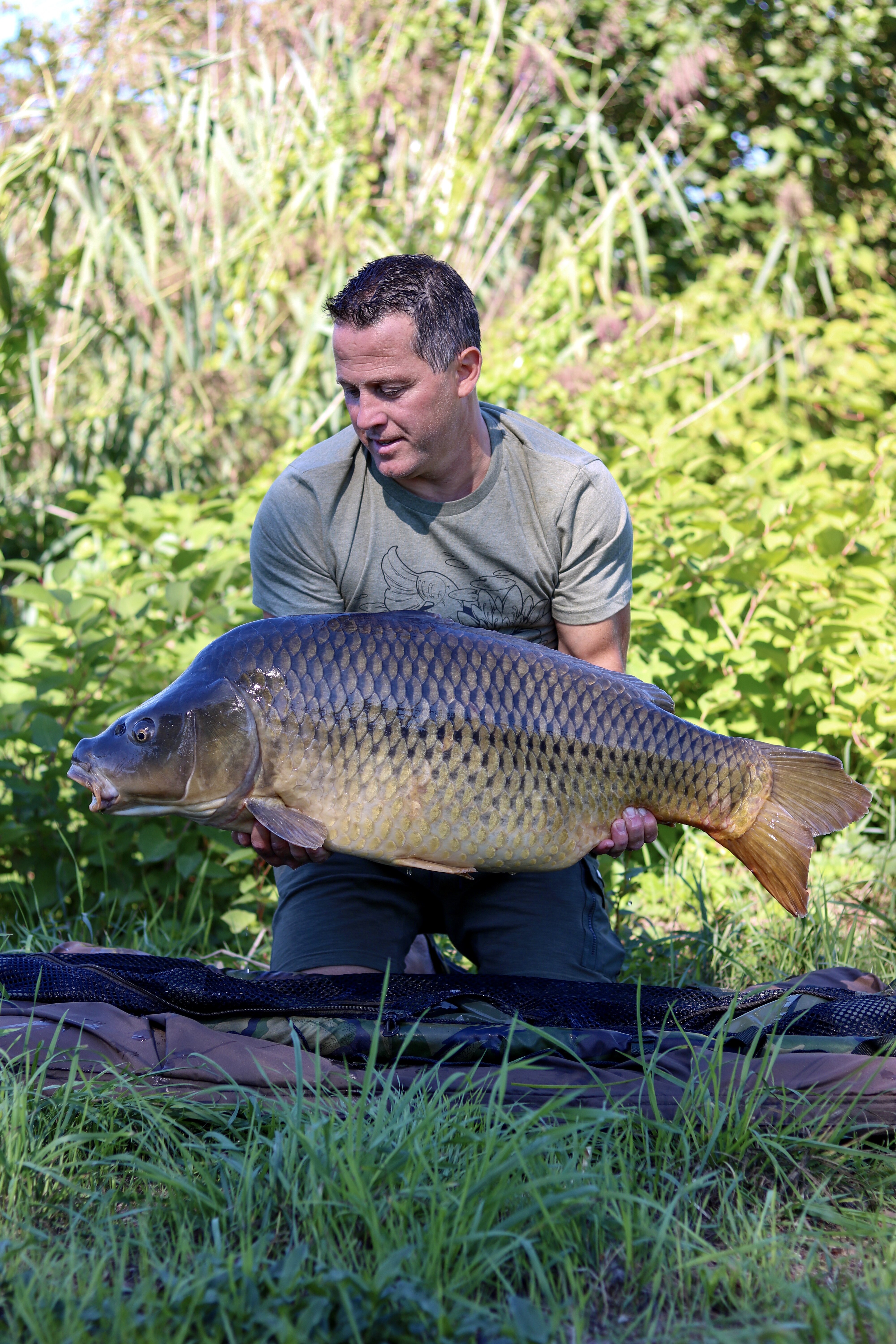 Grosse carpes, les bons gestes - Comment soigner la carpe