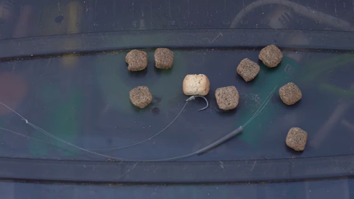 Comment Installer et Utiliser des Zigs Ajustable - Appât de Pêche à la Carpe - Série AD Quickbite