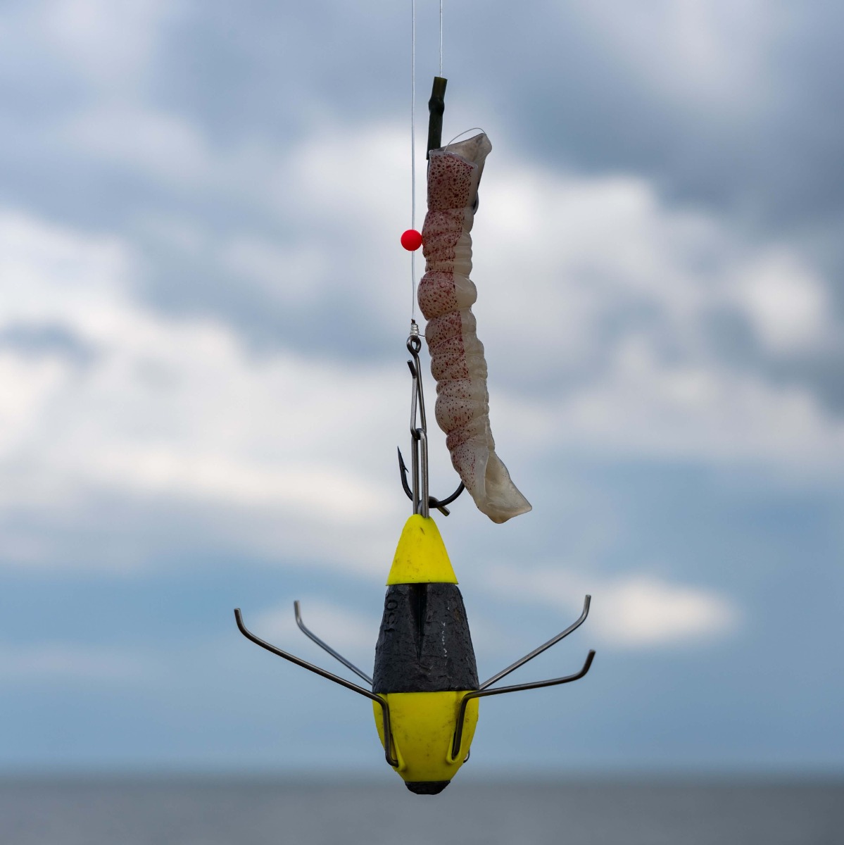 Montage flotteur et appat frais Montage flotteur et appat frais