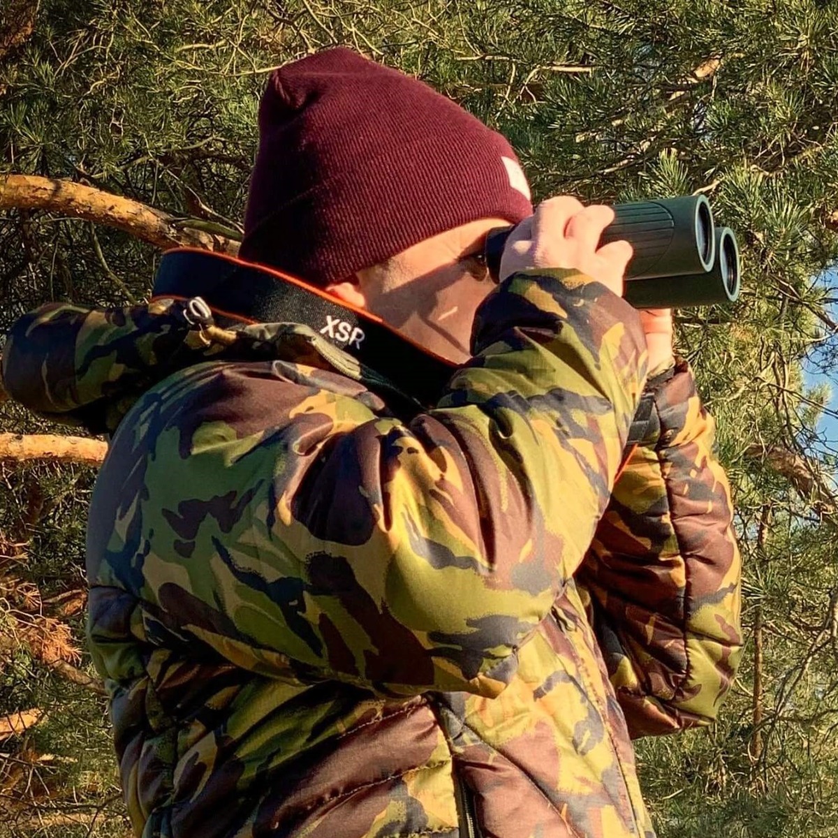 Ou nagent les plus grosses carpes du monde