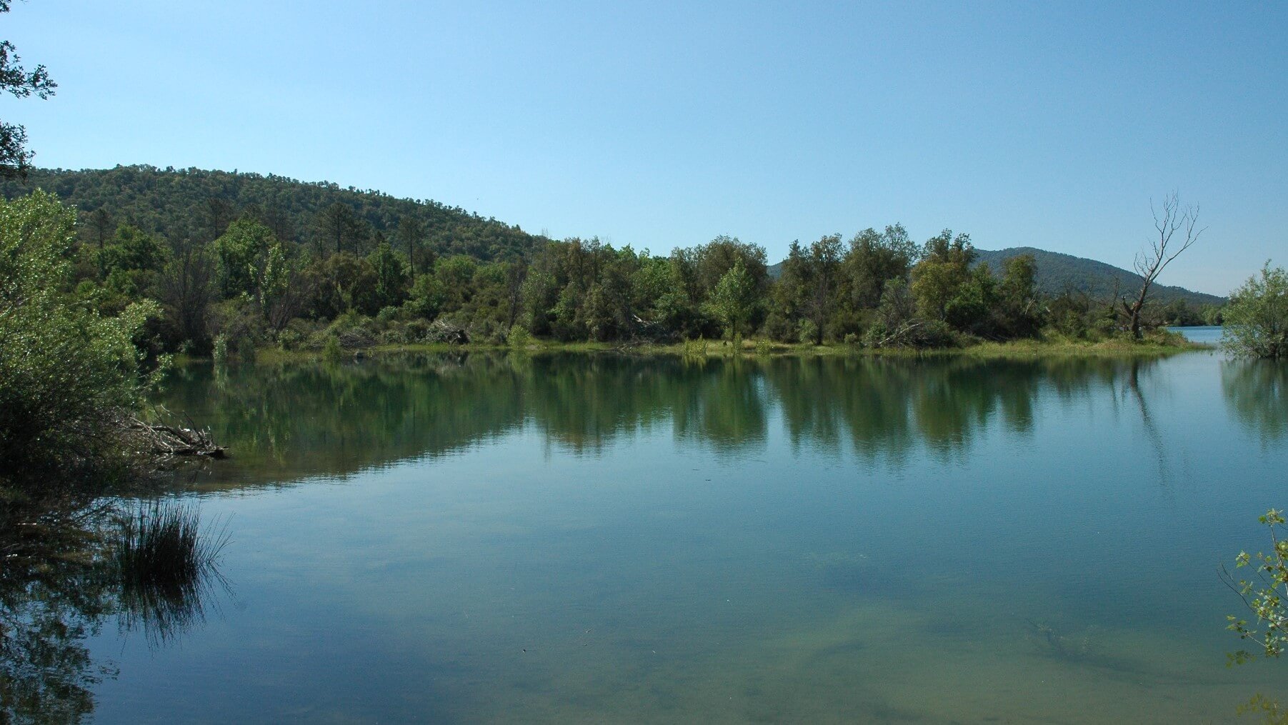 Site de pêche lac, rivière, étang