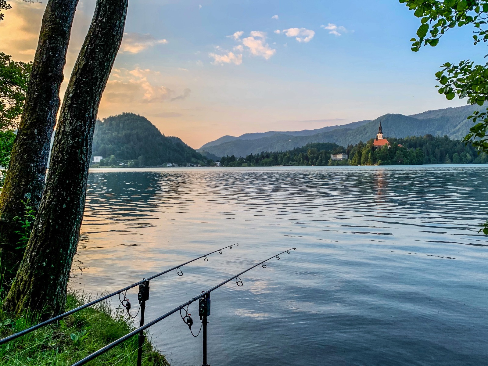 Terrain pour peche des carpes