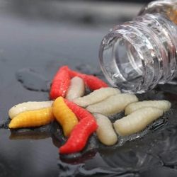 Appâts de Pêche - Appâts Artificiels Appâts de Pêche - Appâts Artificiels