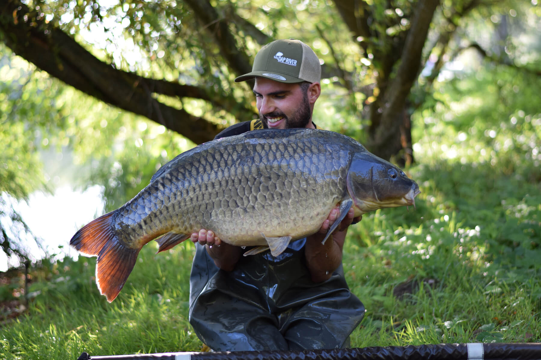 Attraper de Grosses Carpe