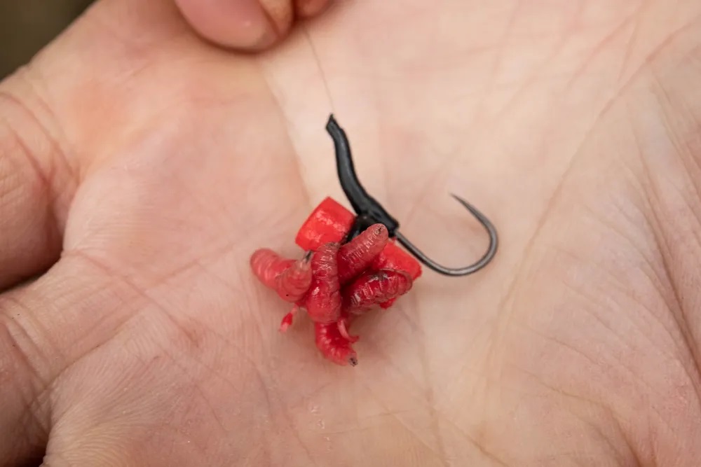 Attacher des Vers à un Zig Rig Attacher des Vers à un Zig Rig