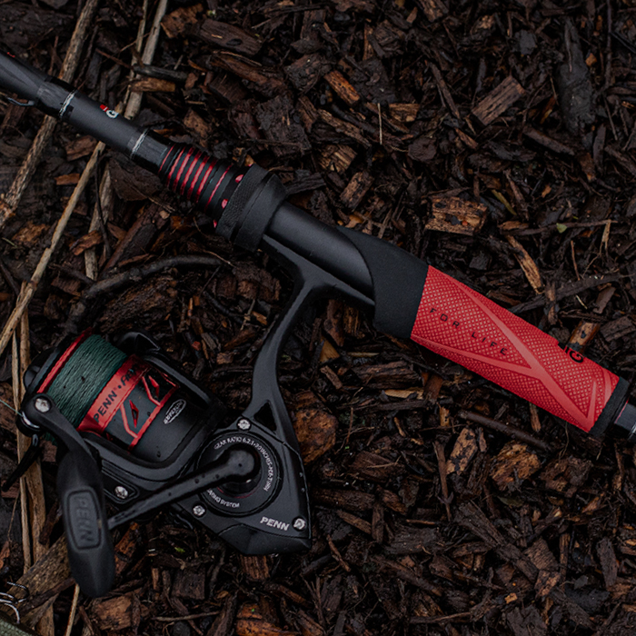 Ensembles Cannes & Moulinets